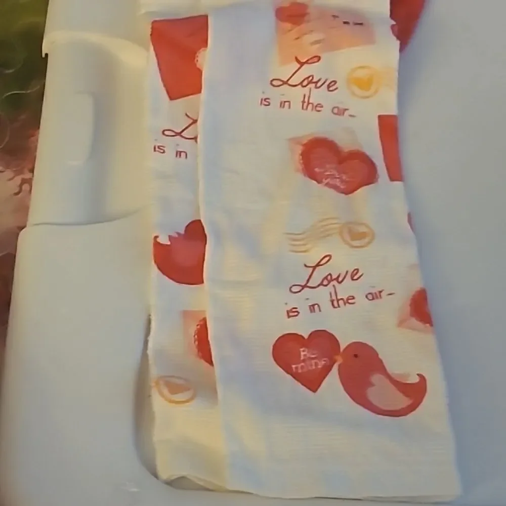 Valentine  Themed Kitchen Towel/Potholder Set